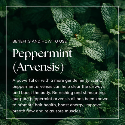 Peppermint Essential Oil (Arvensis) 100ml – Pure & Natural Vegan UK-Made Oil for Aromatherapy, Diffusers, Home Fragrance, Hair Care, Candle & Soap Making